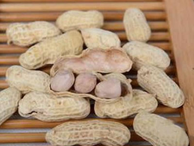 肝病不能吃花生吗?